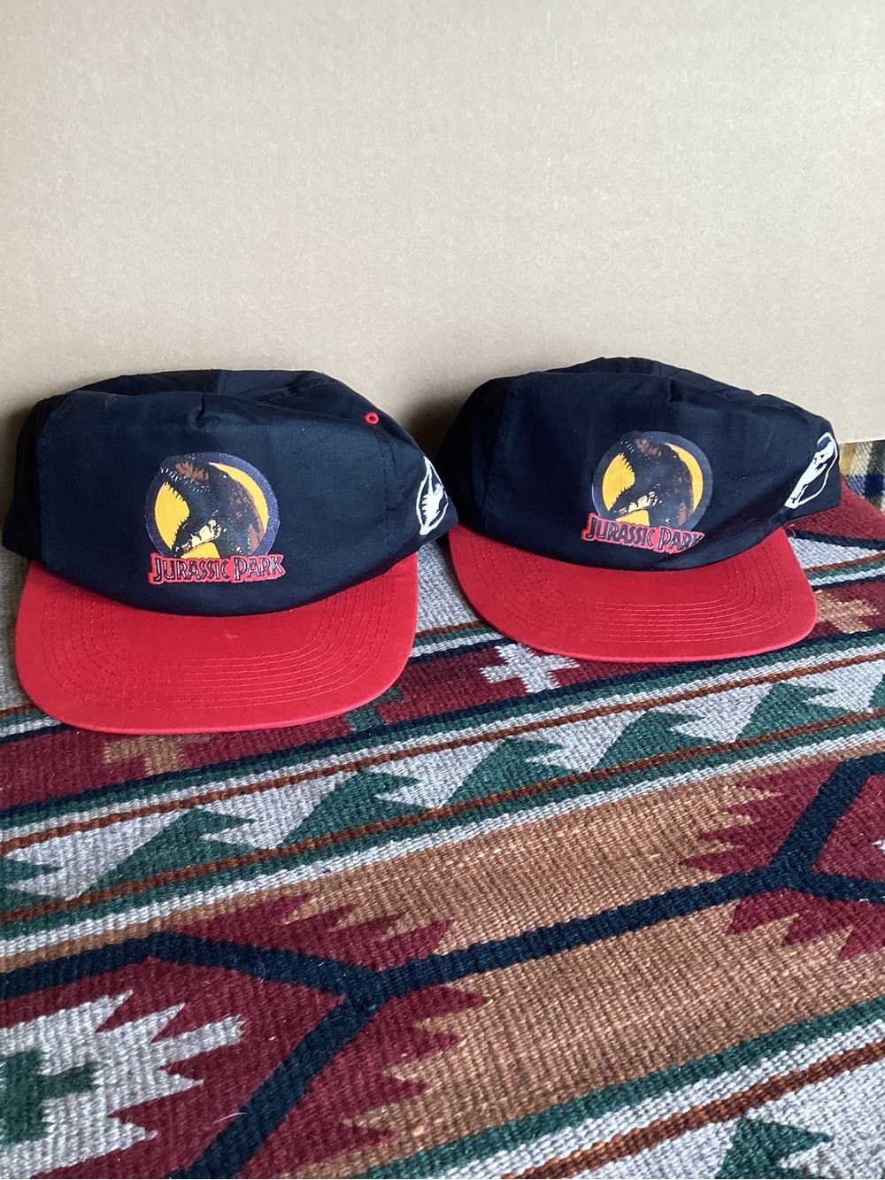 Vintage Jurassic Park SnapBack Hat 1990s?